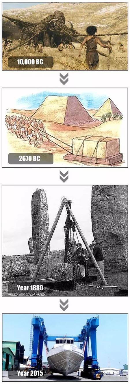 Nima uchun insonlarga Crane.jpg kerak Why Human Beings Need Crane.jpg